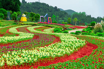 中国香山寿香谷第 5 张图片