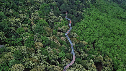 大余丫山旅游度假区第 25 张图片