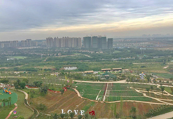 音乐百花谷第 104 张图片