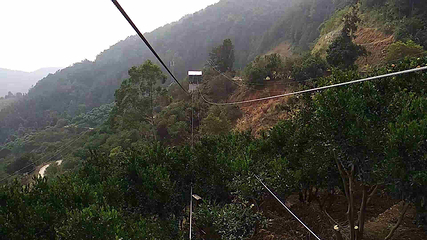 印山国家森林康养基地第 18 张图片