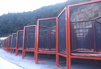 印山国家森林康养基地第 15 张图片