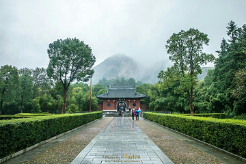 龙虎山-正一观第 13 张图片