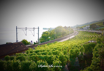 拉沃葡萄酒博物馆第 41 张图片