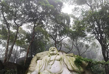 石祖禅茶园第 9 张图片