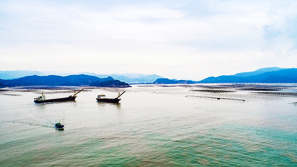 大嵛山岛第 38 张图片