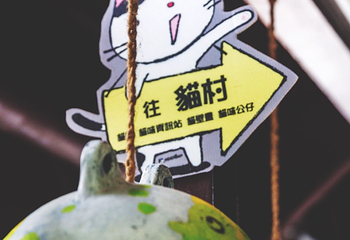 猴硐猫村第 25 张图片