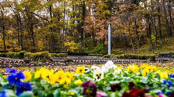 宫泽贤治童话村