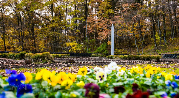 宫泽贤治童话村
