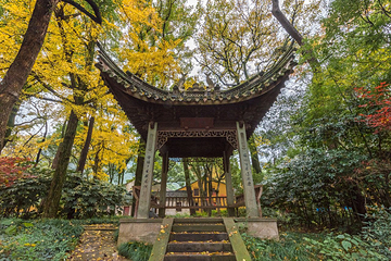 阿育王寺第 4 张图片