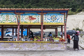 尼洋河第 14 张图片