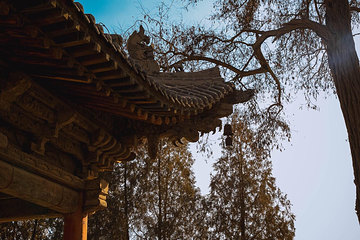 张掖大佛寺第 78 张图片