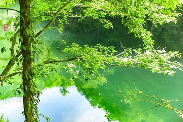 醉山野景区第 44 张图片