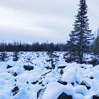 黑龙江伊春红星火山地质公园
