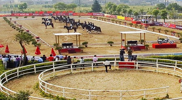 凯易路马术俱乐部