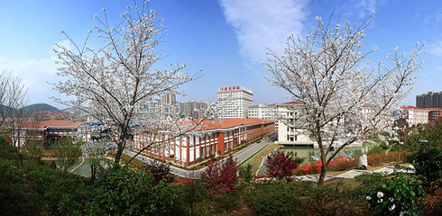 晚安家居文化园(车塘河路店)第 5 张图片