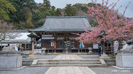 法轮寺第 1 张图片