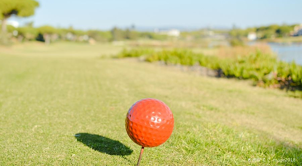 龙岗公众高尔夫球场