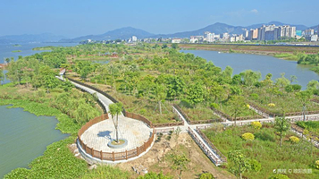 韩江金山大桥湿地公园