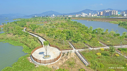 韩江金山大桥湿地公园第 1 张图片