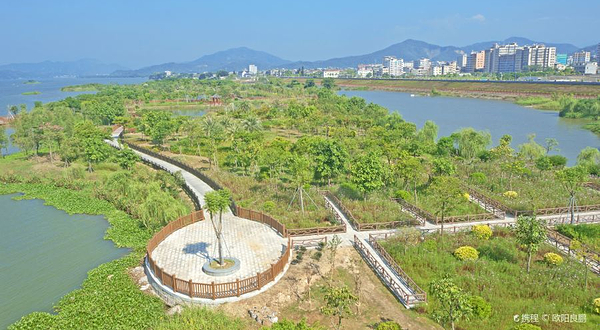 韩江金山大桥湿地公园