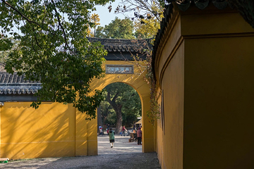 西园寺第 19 张图片