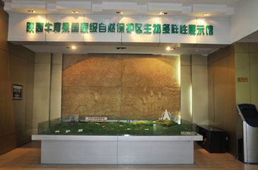牛背梁国家级自然保护区生物多样性展示馆第 1 张图片
