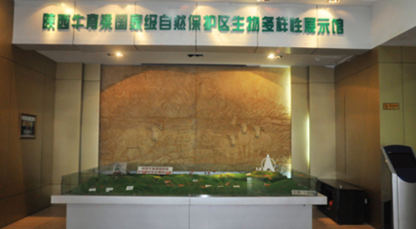 牛背梁国家级自然保护区生物多样性展示馆