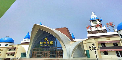 贝壳王国第 14 张图片