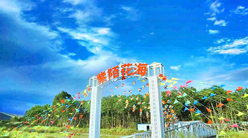 大通紫陌花海薰衣草自助烧烤茶园