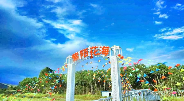 大通紫陌花海薰衣草自助烧烤茶园