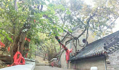 青山寺第 1 张图片