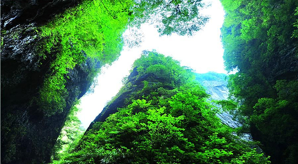 金丝峡景区