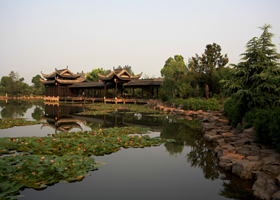 铜陵永泉农庄度假村-茶园