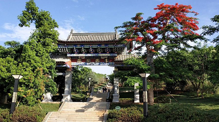 五棵树沿江旅游区第 1 张图片