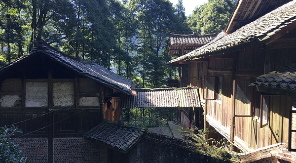 峨眉山风景区-牛心寺
