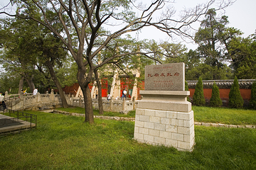 孔庙第 35 张图片