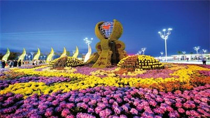 银川花博园第 92 张图片