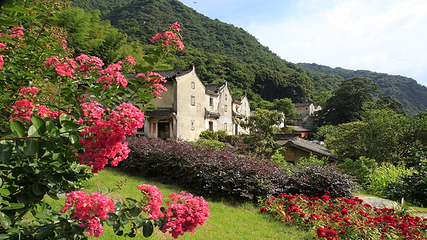 雁南飞茶田景区-桥溪古韵第 17 张图片