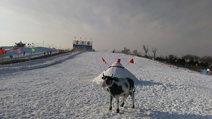 奇石山滑雪场第 13 张图片