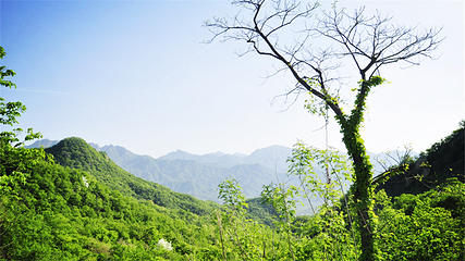 天龙池景区第 1 张图片