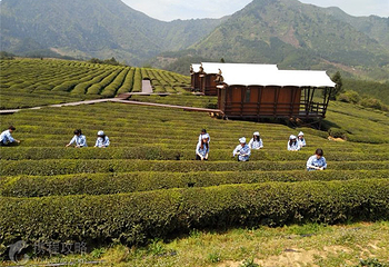三溪路西景区第 4 张图片