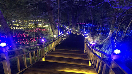 长白山森林峡谷漂流第 3 张图片