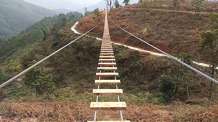 印山国家森林康养基地第 6 张图片