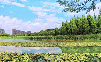 暨阳湖生态园区