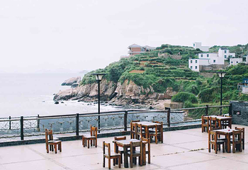 花鸟岛第 50 张图片
