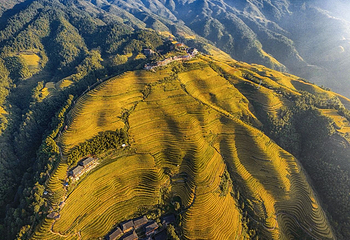 龙脊梯田风景名胜区-金坑梯田第 4 张图片
