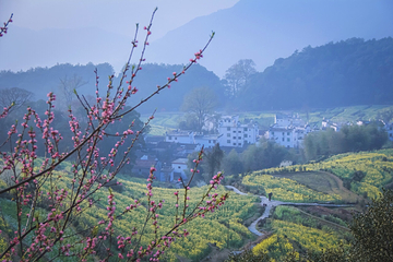 江岭景区第 79 张图片