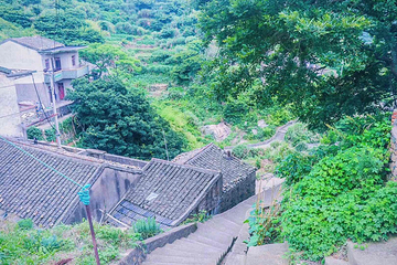 花鸟岛第 96 张图片