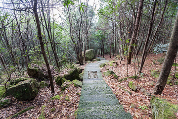 仙华山景区第 21 张图片