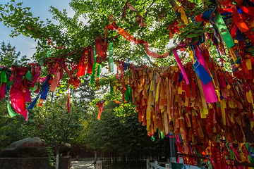 赤山法华院第 5 张图片